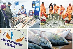 Pollack keresnek - ha a kvóták, és az a személy - „rendelkezésre álló hal” Pacific Star újság