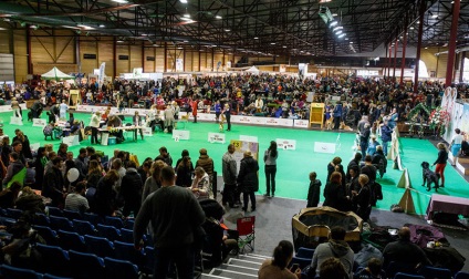 Este necesar să vedem! Expoziție de animale petexpo 2017