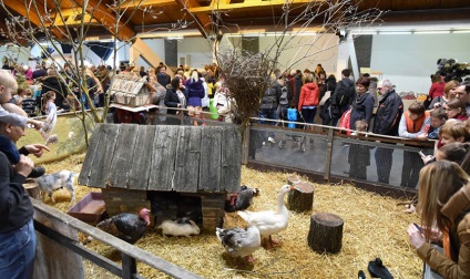 Este necesar să vedem! Expoziție de animale petexpo 2017