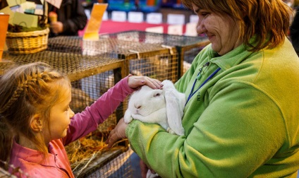 Este necesar să vedem! Expoziție de animale petexpo 2017