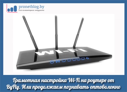 Configurarea wi-fi pe routerul de tip fluture, importante nuanțe de criptare