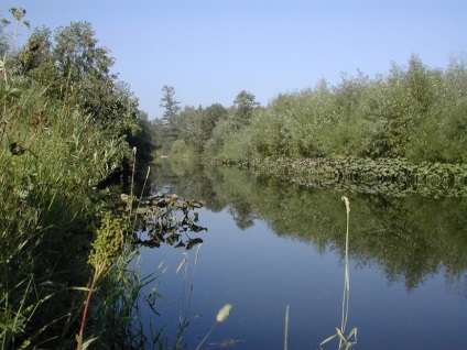 Nemzeti Park 