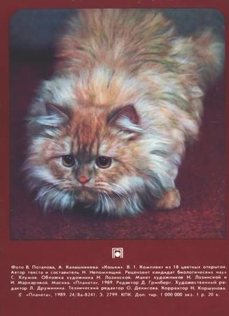 Nikolai nepomnyashchy - pisici - pagina 3