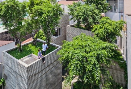 O nouă tendință de amenajare a teritoriului copacilor orașului va începe să crească chiar pe acoperișuri