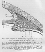 Shell-ul globului ocular, ghidul medicului