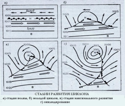 Educația și etapele dezvoltării ciclonului - stadopedia