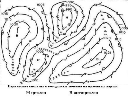 Educația și etapele dezvoltării ciclonului - stadopedia