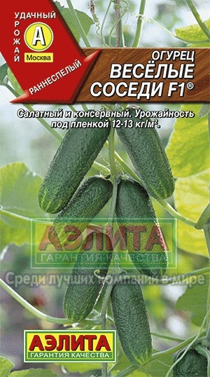 Castraveți vecini veselă f1 ® cumpărați producătorii de semințe de castraveți en gros și cu amănuntul