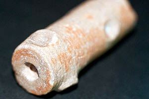 Fosile din epoca paleozoică, 225-580 milioane