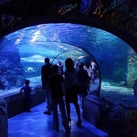 Oceanarium Moszkvában, a bevásárló központ rio