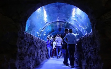 Oceanarium Moszkvában, a bevásárló központ rio