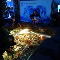 Oceanarium Moszkvában, a bevásárló központ rio