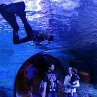 Oceanarium Moszkvában, a bevásárló központ rio