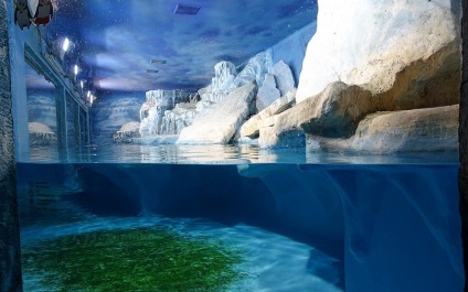 Oceanarium Moszkvában, a bevásárló központ rio