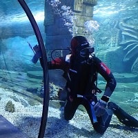 Oceanarium Moszkvában, a bevásárló központ rio