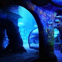 Oceanarium Moszkvában, a bevásárló központ rio