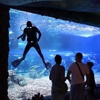 Oceanarium Moszkvában, a bevásárló központ rio