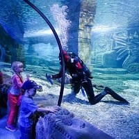 Oceanarium Moszkvában, a bevásárló központ rio