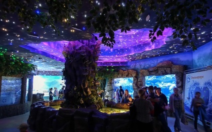 Oceanarium Moszkvában, a bevásárló központ rio