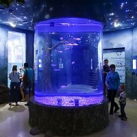 Oceanarium Moszkvában, a bevásárló központ rio