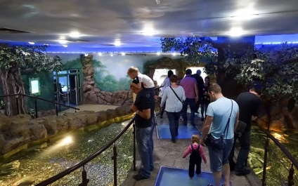 Oceanarium Moszkvában, a bevásárló központ rio