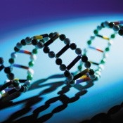 Deteriorarea oxidantă a ADN