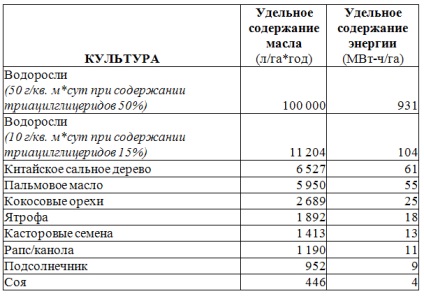 Ooo „alga technológia” - a kilátások a termelés fejlődése a mikroalgák biomassza