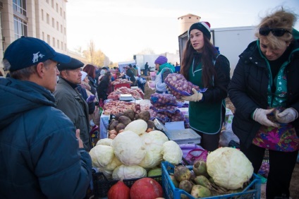 Despre soiurile de cireș de nord