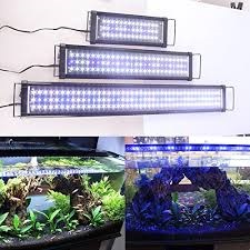 Iluminarea acvariului cu lămpi LED