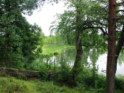 Goose Lake, cartierul Osozersky este un loc excelent pentru odihnă