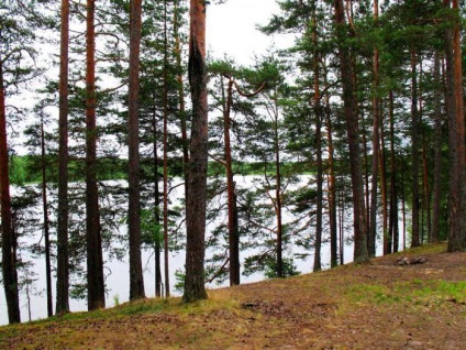 Goose Lake, cartierul Osozersky este un loc excelent pentru odihnă