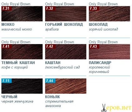 O paletă de culori și nuanțe de culoarea părului estel (numai culoare estel)