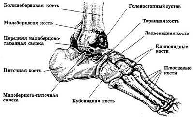 Törés a calcaneus kezelt, a tünetek és az elsősegély