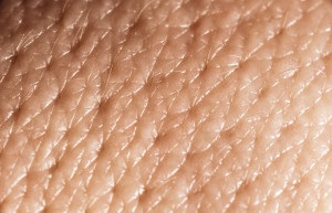 Кожни присадки - кожата пластмасови dermoplastika