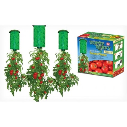Planters și păstăi pentru cultivarea de tomate și fructe de pădure