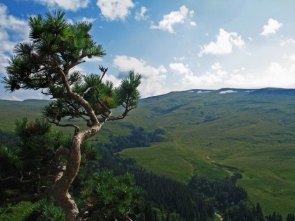 Plateau Lagonaki utazás adigeföld