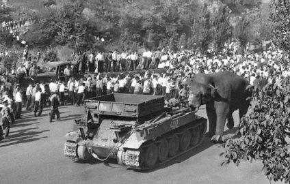 Evadare din Gradina Zoologica din Yerevan in 1970, este interesant, web-urile mele