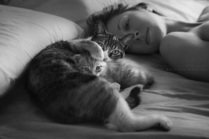 De ce o pisică dormește pe o persoană