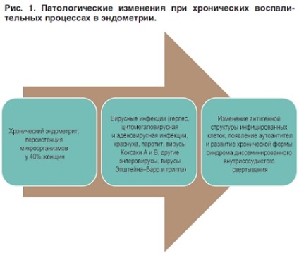 Pregatirea pentru sarcina femeilor cu hipoplazie endometriala - ginecologie №05 2014 - consilium medicum