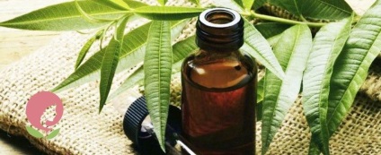Proprietăți utile ale rețetelor de ulei de arbore de ceai pentru față și păr