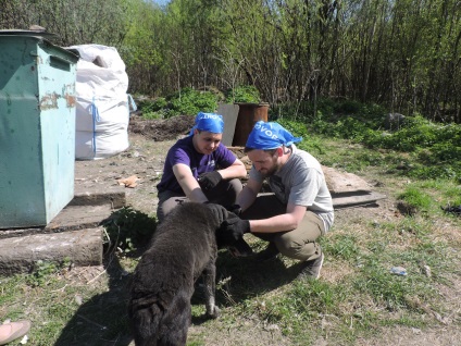 Adăpostul pentru câinii vagabonzi din Katunino este mai bun decât cel mai mic ajutor decât cea mai mare simpatie