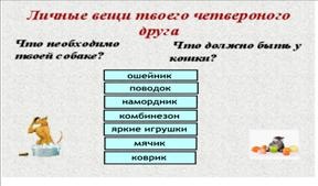 Mintegy Kutyák és macskák (2-es fokozatú), Pedagógiai Kaleidoszkóp száma 3-2009, módszeres szekrény