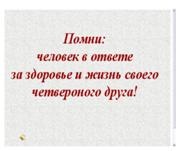 За котки и кучета (2-ра степен), Педагогическа Калейдоскоп брой 3-2009, методичен кабинет