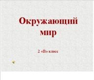 Mintegy Kutyák és macskák (2-es fokozatú), Pedagógiai Kaleidoszkóp száma 3-2009, módszeres szekrény