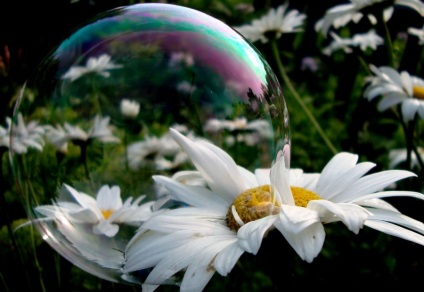 Infuzate cu magie - în bule de sapun pentru lentile; )), artă fotografie