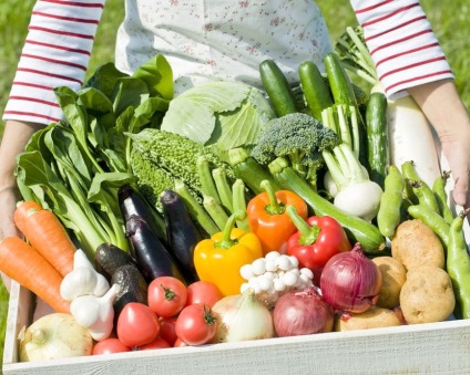 Bevált tippek a jó termés zöldség
