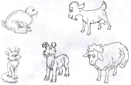 Tekintsük háziállatok illusztráció macska, kutya, szarvasmarha, ló, sertés, juh, kecske, nyúl