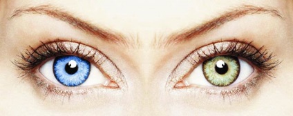 Diferite culori ale ochilor la om, tipuri de heterochromie și forme de mutație