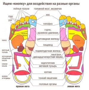 Reflectoare pentru masaj papuci bradex 