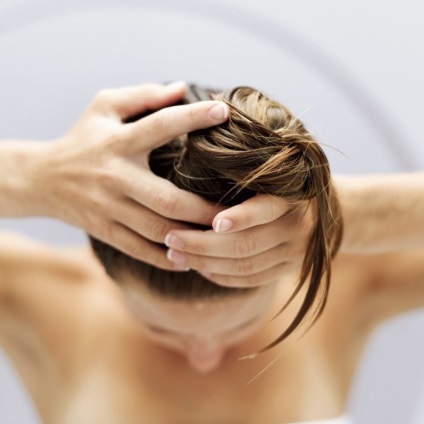 Bojtorján olaj haj - előnyei és hátrányai - alkalmazás - egészségesen élni